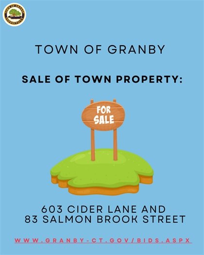 Town Property for Sale: 603 Cider Lane and 83 Salmon Brook Street