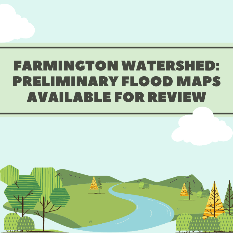 fema preliminary flood map