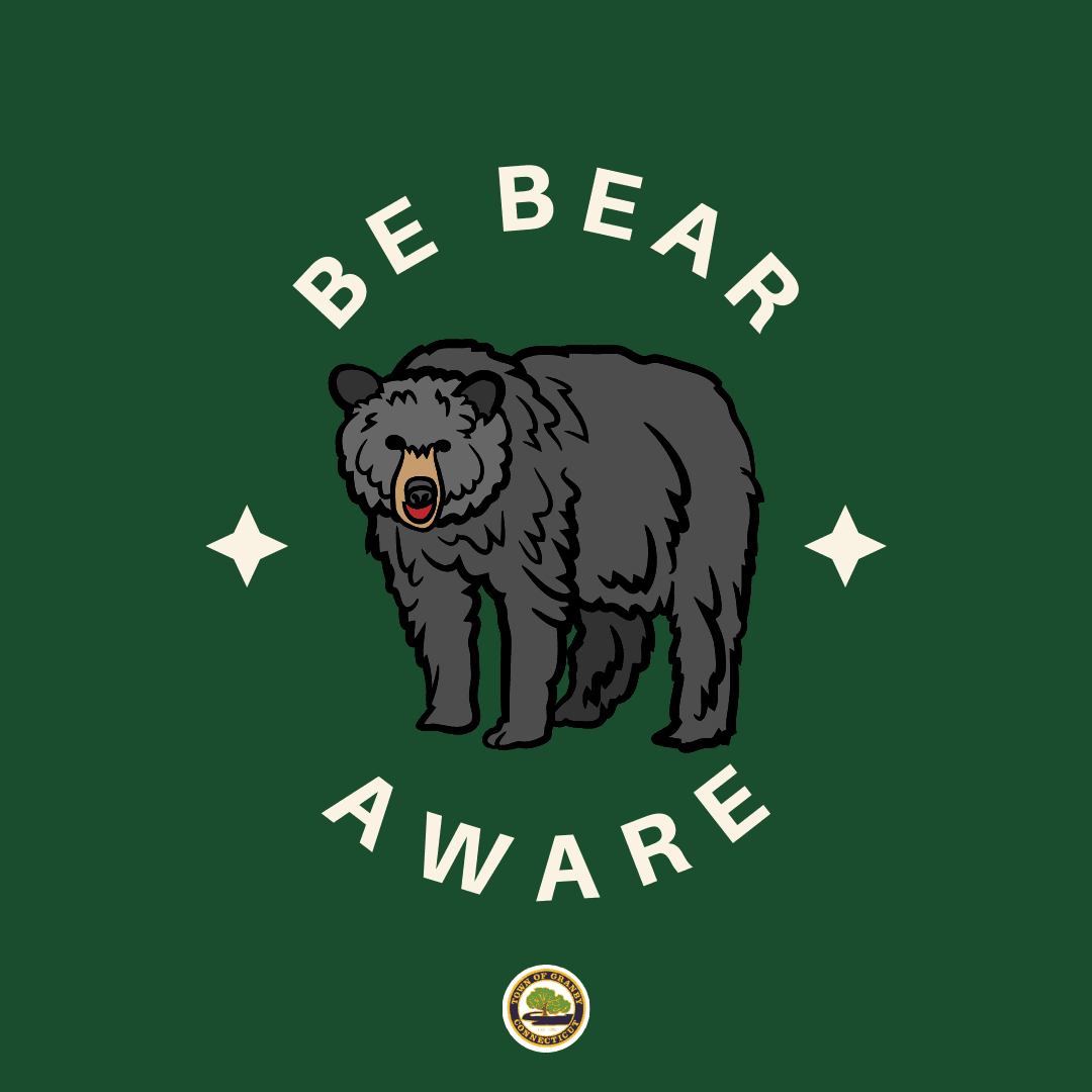 be bear aware 9.2024