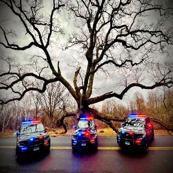 Police Cars