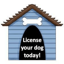 Dog house