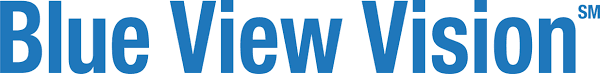 vision logo 2